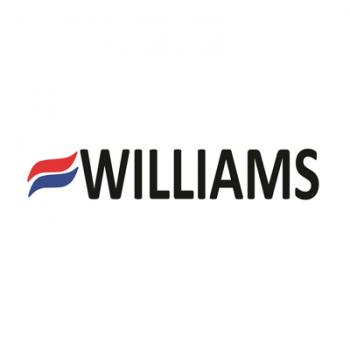 Williams Comfort Products P626153 Ecm Programmed Motor