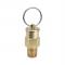 Dwyer A-321 Safety Relief Valve 1/2" Brass